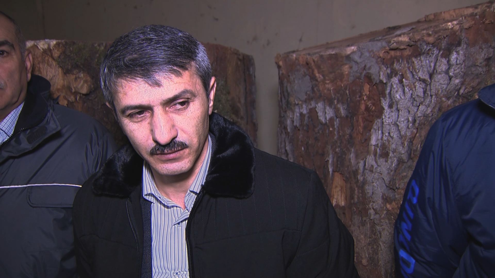 Ağacları qanunsuz kəsən mütəşəkkil dəstə zərərsizləşdirildi (FOTO) - Gallery Image