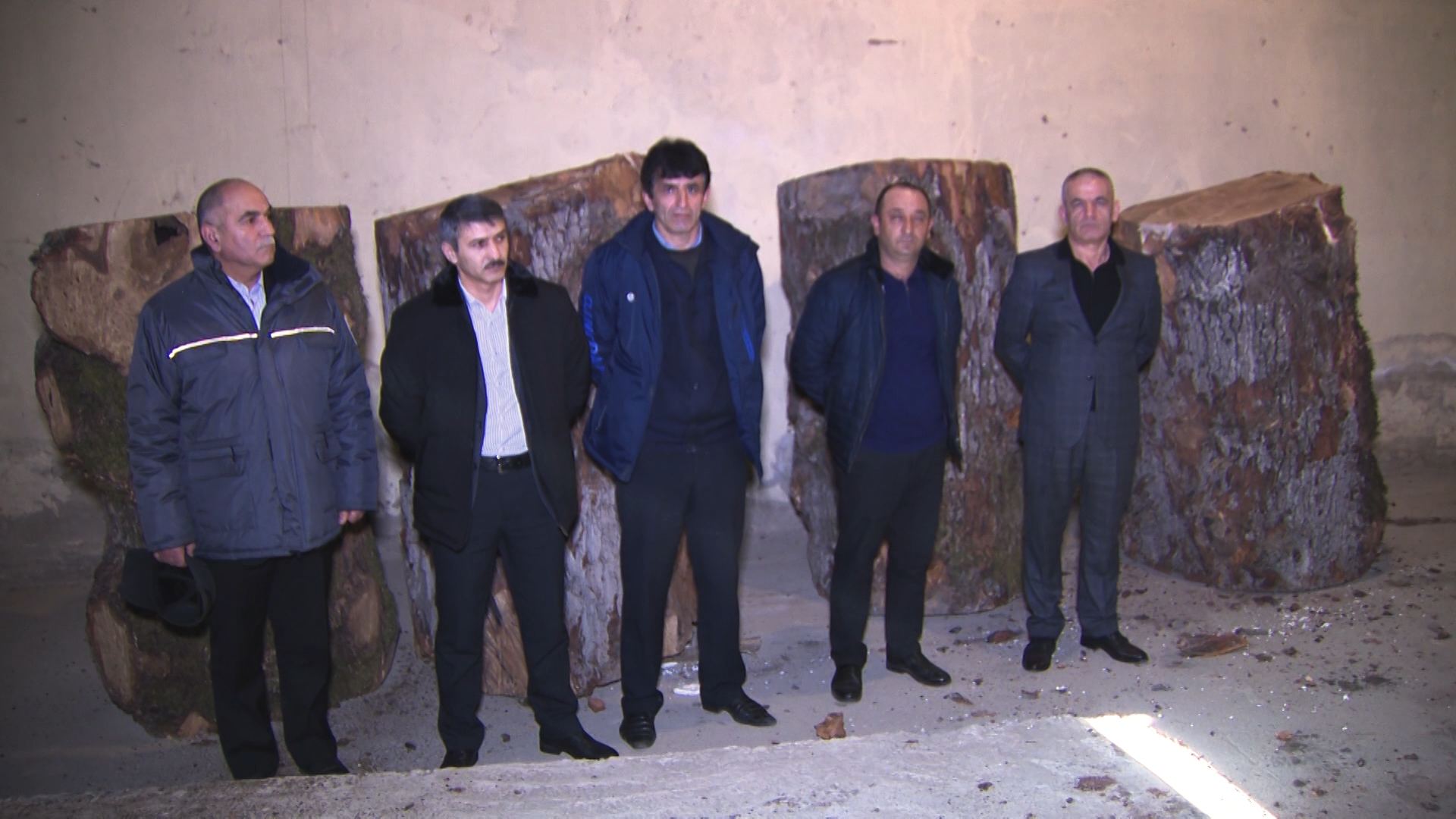 Ağacları qanunsuz kəsən mütəşəkkil dəstə zərərsizləşdirildi (FOTO) - Gallery Image
