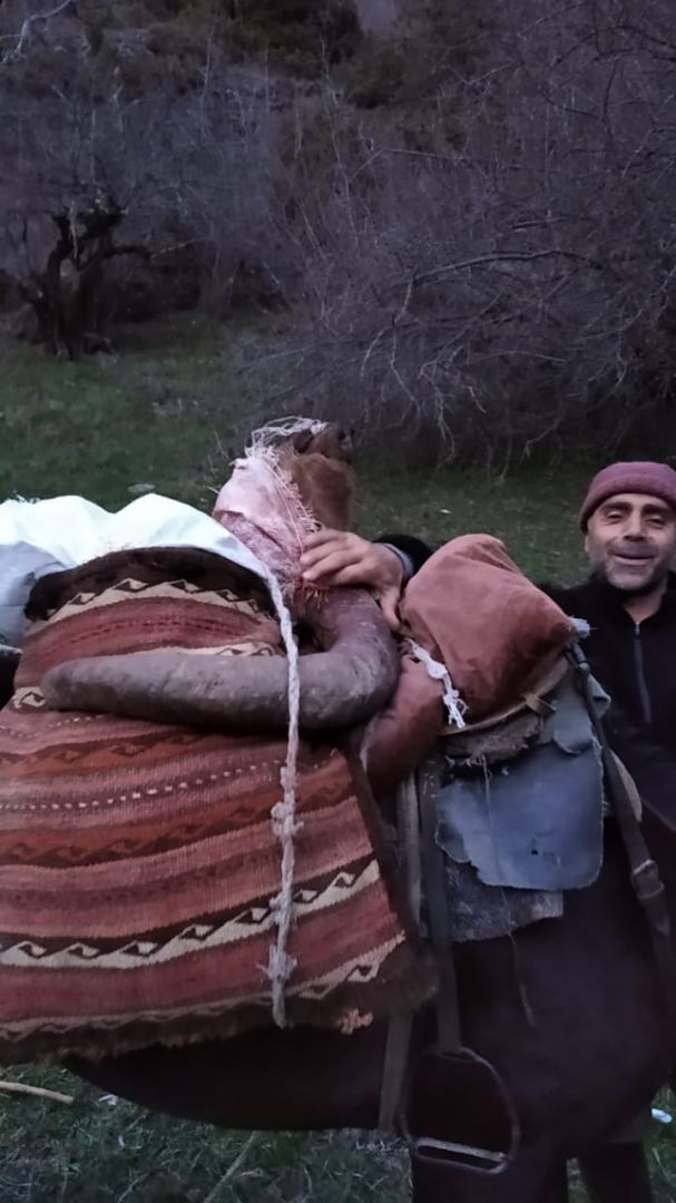 Dünyanın nadir heyvanını ovlayan şəxslər 3000 manata yaxın cərimələndi (FOTO) - Gallery Image