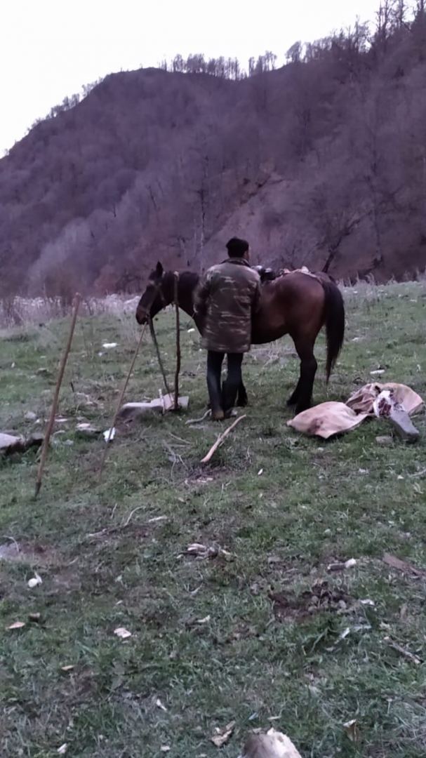 Dünyanın nadir heyvanını ovlayan şəxslər 3000 manata yaxın cərimələndi (FOTO) - Gallery Image