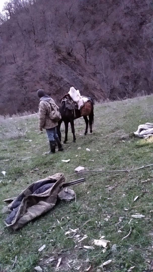 Dünyanın nadir heyvanını ovlayan şəxslər 3000 manata yaxın cərimələndi (FOTO) - Gallery Image