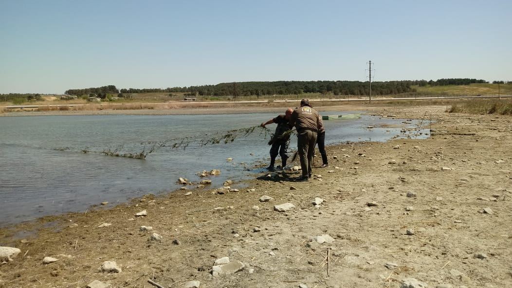 Su hövzələri qadağan olunmuş vasitələrdən təmizlənib (FOTO) - Gallery Image