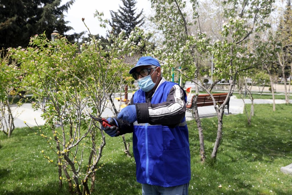 Ödənişli ictimai iş yerlərinin sayı 51 minə çatıb (FOTO) - Gallery Image