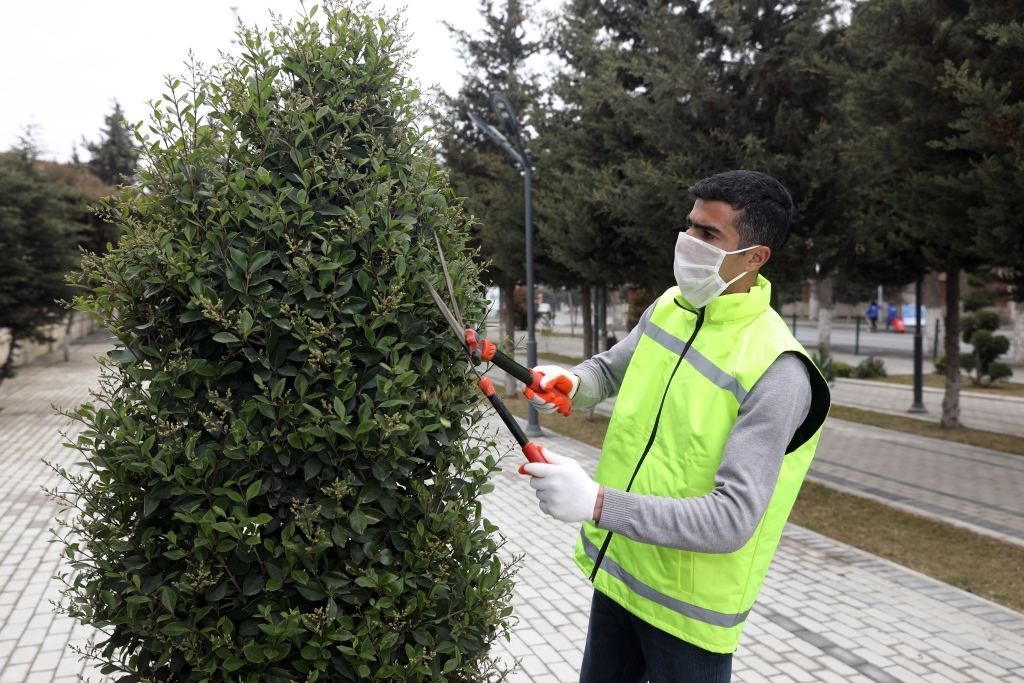 Ödənişli ictimai işlərə cəlb olunanların sayı 54 minə çatdı (FOTO) - Gallery Image