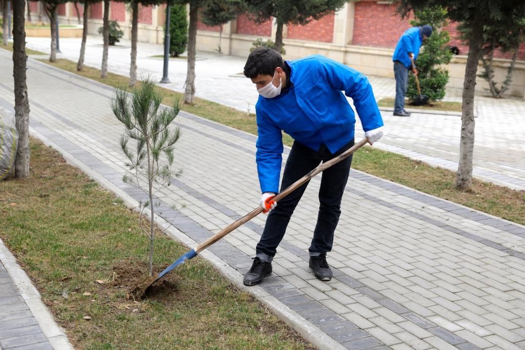 Ödənişli ictimai işlərə cəlb olunanların sayı 54 minə çatdı (FOTO) - Gallery Image