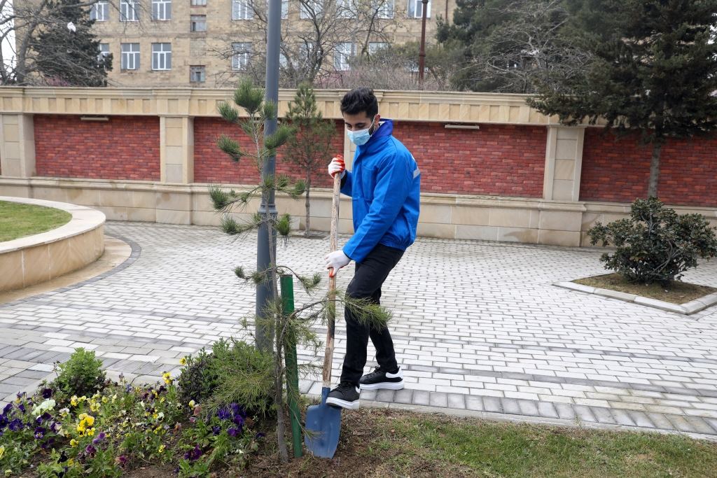 Ödənişli ictimai işlərə cəlb olunanların sayı 54 minə çatdı (FOTO) - Gallery Image