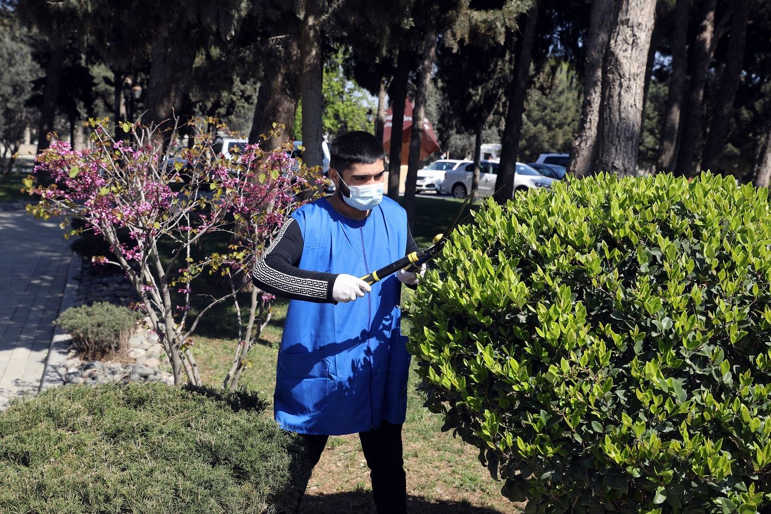 Son 10 gündə əlavə olaraq 18 min ödənişli ictimai iş yeri yaradılıb (FOTO) - Gallery Image