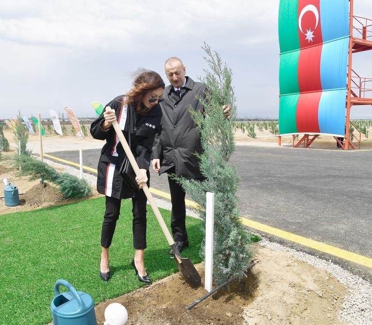 Prezident İlham Əliyev və birinci xanım Mehriban Əliyeva ulu öndər Heydər Əliyevin doğum günü münasibətilə ağac əkiblər (FOTO) - Gallery Image