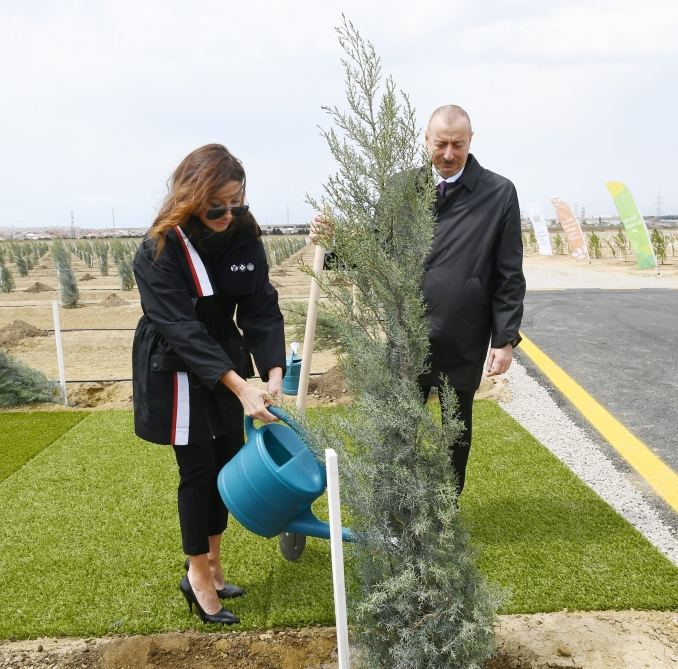 Prezident İlham Əliyev və birinci xanım Mehriban Əliyeva ulu öndər Heydər Əliyevin doğum günü münasibətilə ağac əkiblər (FOTO) - Gallery Image