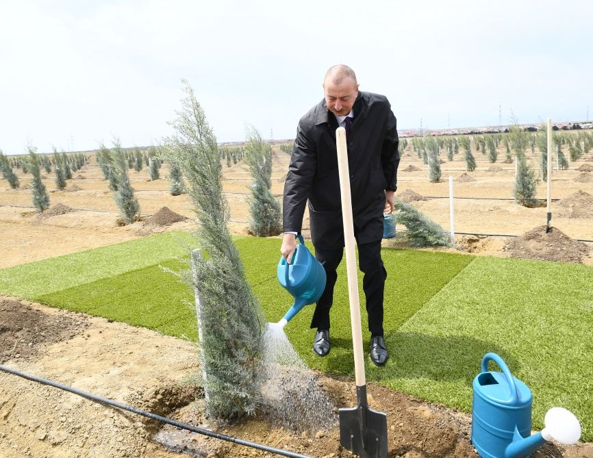 Prezident İlham Əliyev və birinci xanım Mehriban Əliyeva ulu öndər Heydər Əliyevin doğum günü münasibətilə ağac əkiblər (FOTO) - Gallery Image