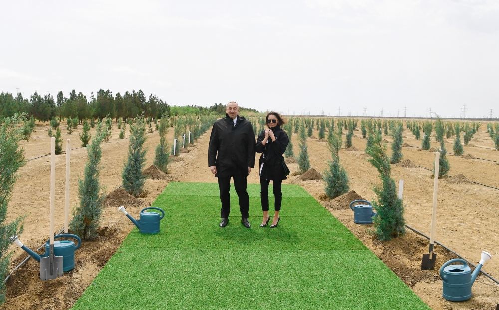 Prezident İlham Əliyev və birinci xanım Mehriban Əliyeva ulu öndər Heydər Əliyevin doğum günü münasibətilə ağac əkiblər (FOTO) - Gallery Image