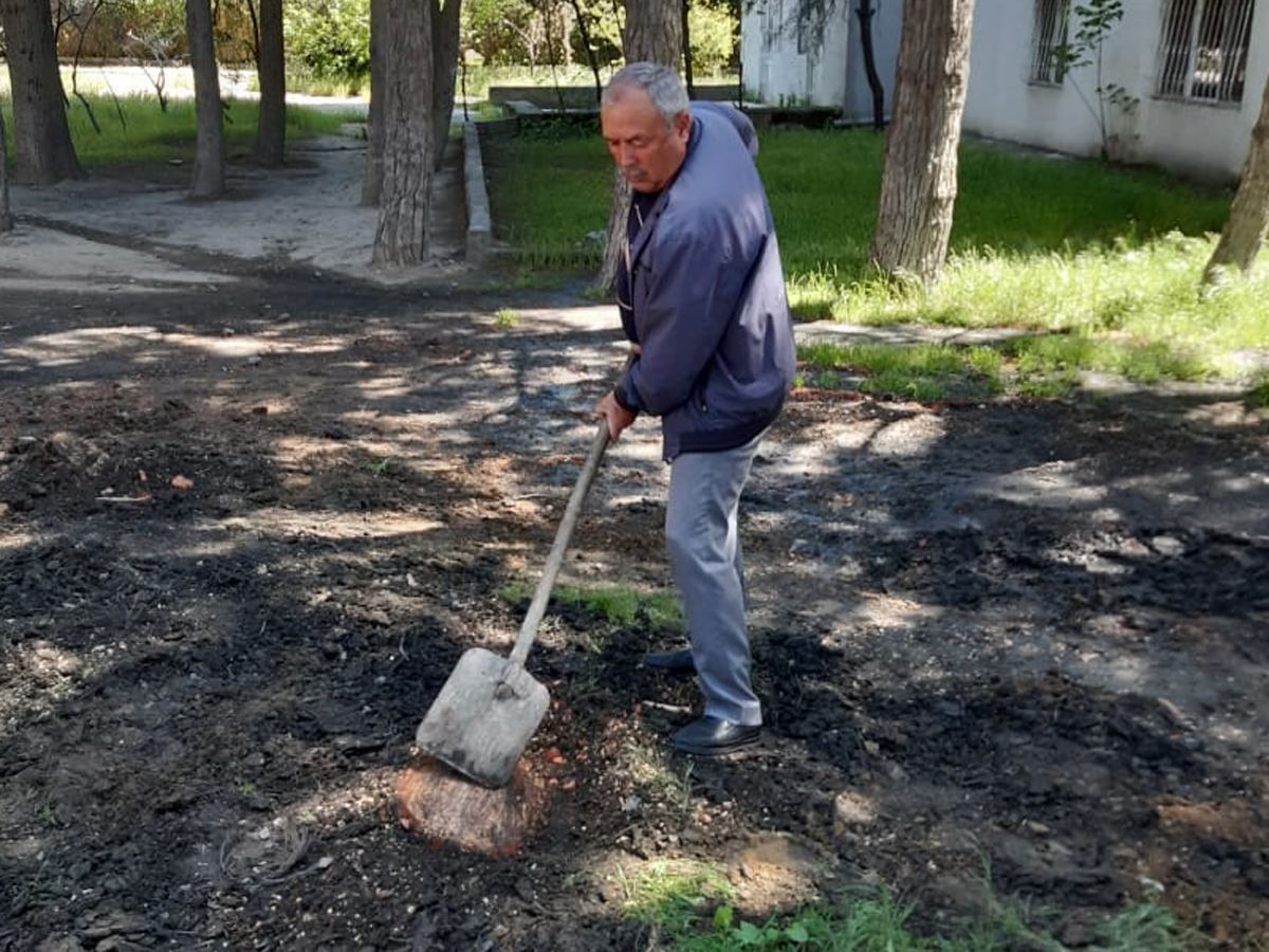 İradə İbrahimova: Ağac kəsənlər ifşa olunmalıdır (FOTO) - Gallery Image