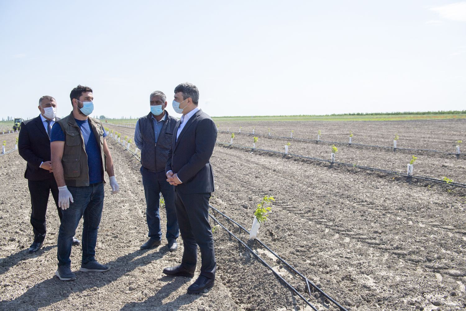 Kənd Təsərrüfatı naziri Quba və Xaçmazda əkin sahələrinə baş çəkib (FOTO) - Gallery Image