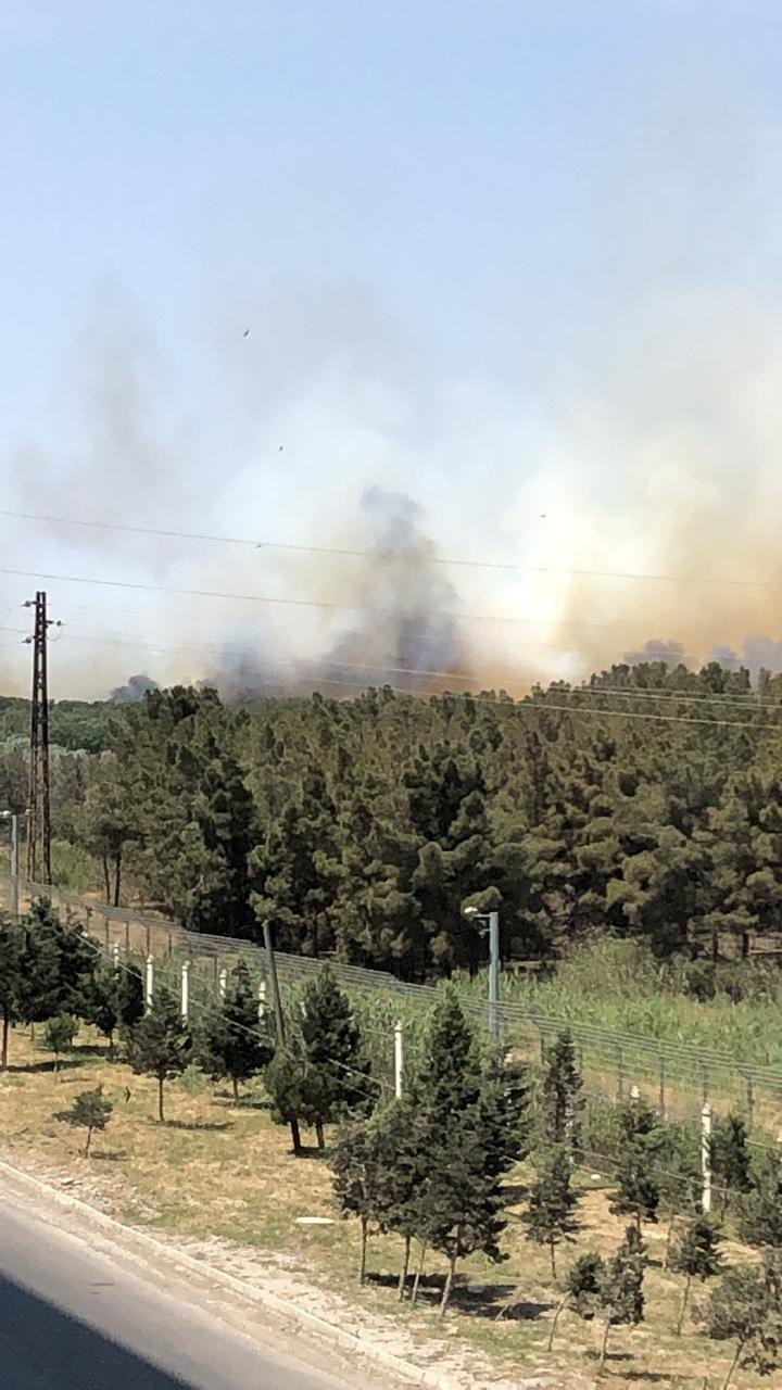 Ceyranbatandakı yanğına görə havaya helikopterlər qaldırıldı- VİDEO + FOTOLAR