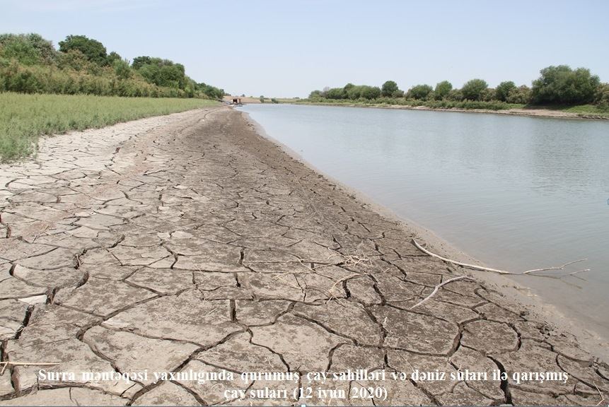 Xəzərin suyunun Kürə axmasının səbəbləri açıqlandı (FOTO) - Gallery Image