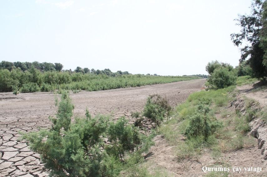 Xəzərin suyunun Kürə axmasının səbəbləri açıqlandı (FOTO) - Gallery Image