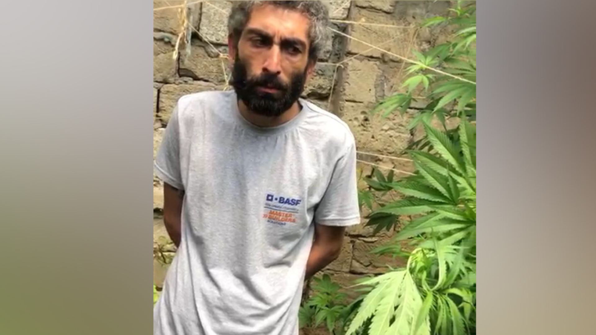 Suraxanıda narkotik yetişdirən şəxs saxlanıldı (FOTO) - Gallery Image