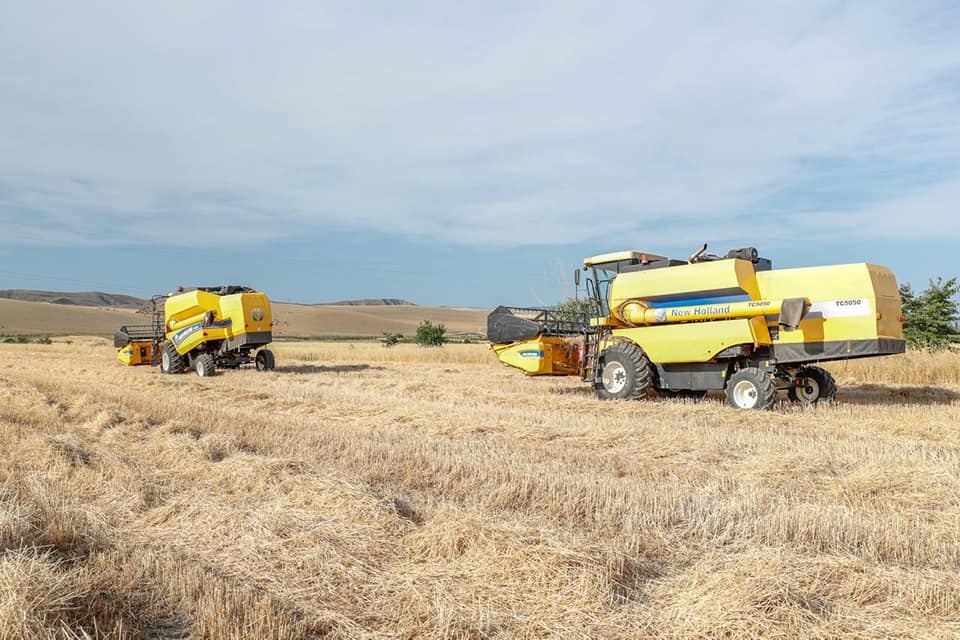 Azərbaycanda taxıl sahələrinin 31 faizində biçin başa çatıb (FOTO) - Gallery Image