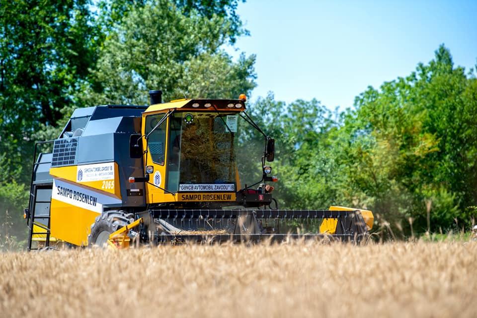 Taxıl sahələrinin 66 faizində biçin başa çatıb (FOTO) - Gallery Image