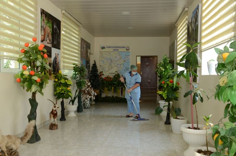 Paytaxtda uşaq bağçaları fəaliyyətə başladı (FOTO) - Gallery Image