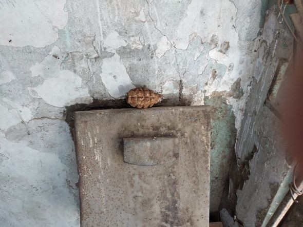 Bakıda əl qumbarası tapıldı- FOTOLAR