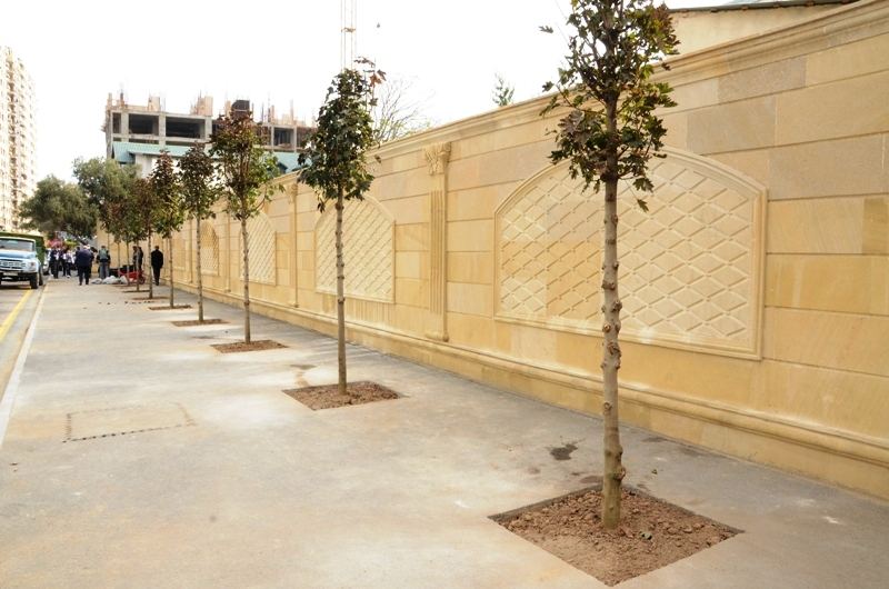 Paytaxtda kütləvi ağacəkmələr aparılır (FOTO) - Gallery Image