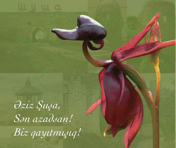 Birinci vitse-prezident Mehriban Əliyeva: İllər boyu davam etmiş kədər, həsrət, faciəli hadisələrdən sonra tarixi ədalət bərpa olunur! - Gallery Image