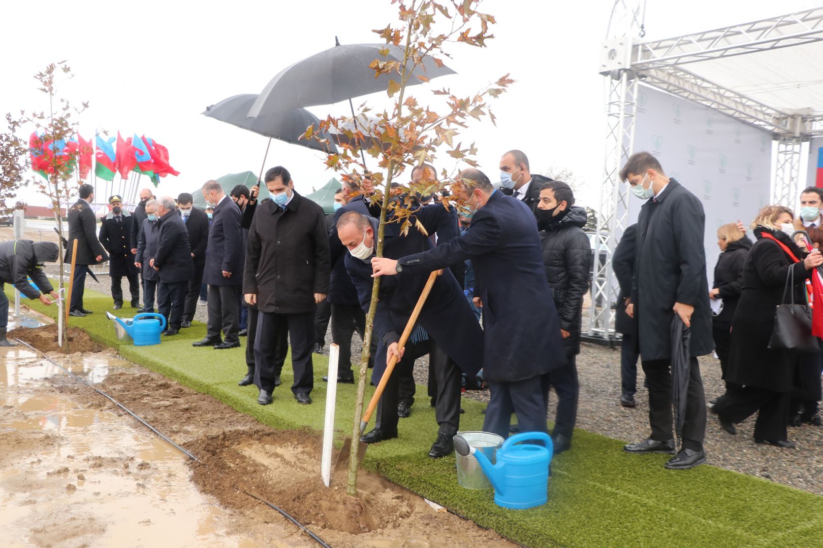 Azərbaycan Türkiyənin genişmiqyaslı ağacəkmə aksiyasına qoşulub (FOTO) - Gallery Image