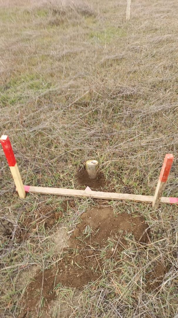Cəbhəboyu ərazilərdə 579 ədəd mina aşkarlanaraq zərərsizləşdirilib - ANAMA (FOTO) - Gallery Image