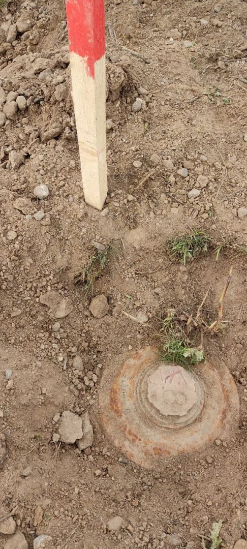 Cəbhəboyu ərazilərdə 579 ədəd mina aşkarlanaraq zərərsizləşdirilib - ANAMA (FOTO) - Gallery Image