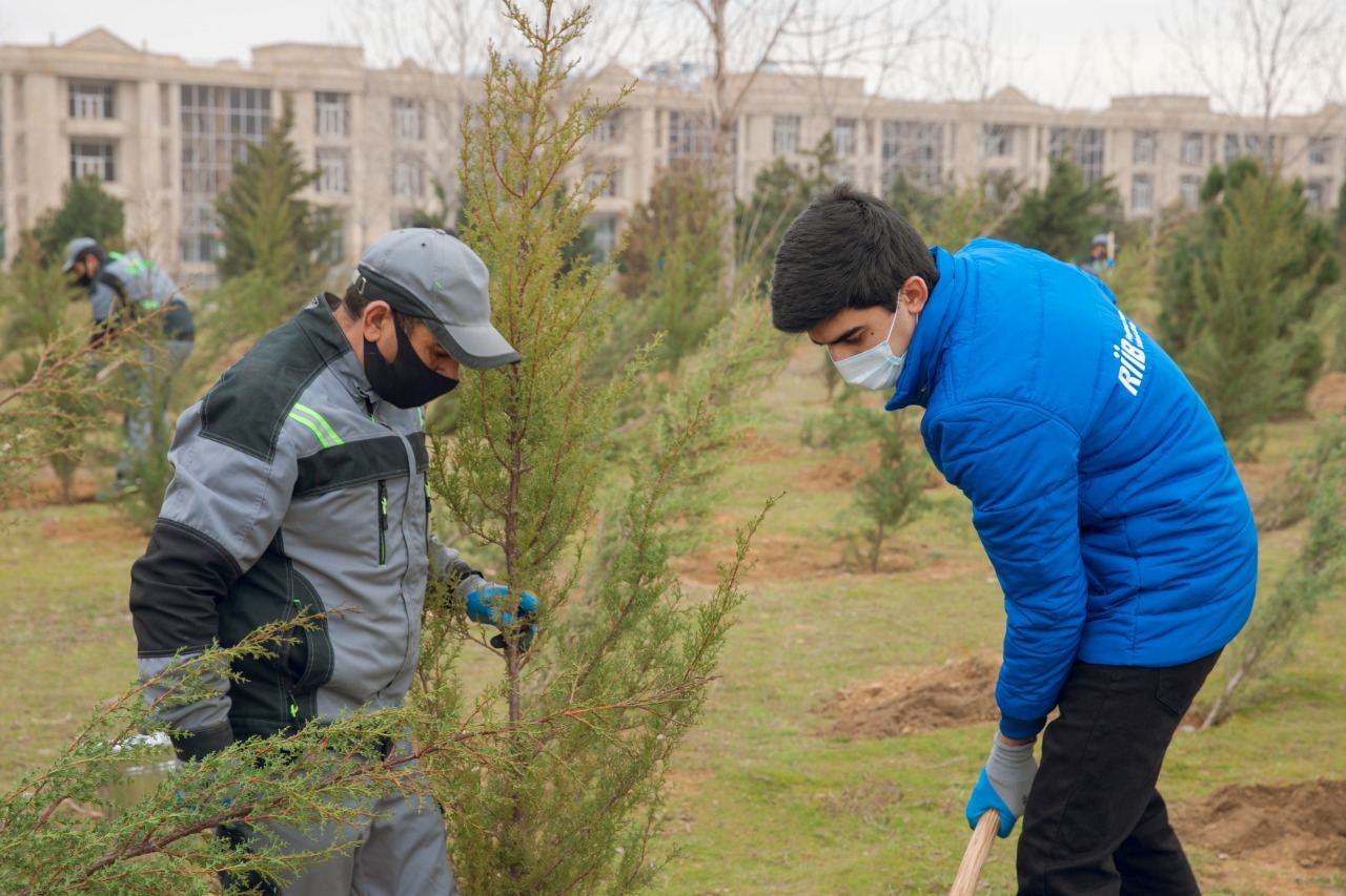 BŞİH və “Regional İnkişaf” İctimai Birliyinin birgə təşkilatçılığı ilə ağacəkmə aksiyası keçirilib (FOTO) - Gallery Image
