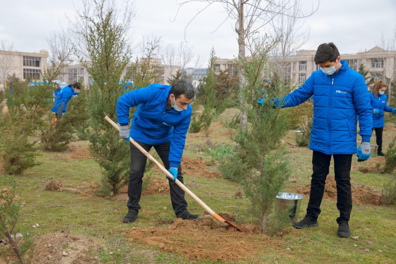 BŞİH və “Regional İnkişaf” İctimai Birliyinin birgə təşkilatçılığı ilə ağacəkmə aksiyası keçirilib (FOTO) - Gallery Image