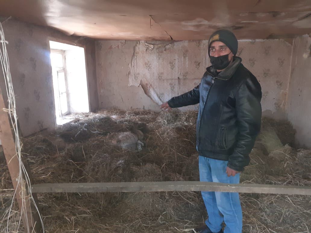 Qaxda sahibkarın qarğıdalı anbarı qarət edildi (FOTO) - Gallery Image
