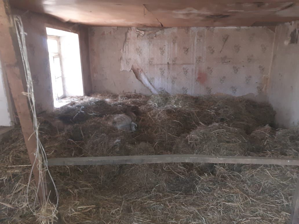 Qaxda sahibkarın qarğıdalı anbarı qarət edildi (FOTO) - Gallery Image