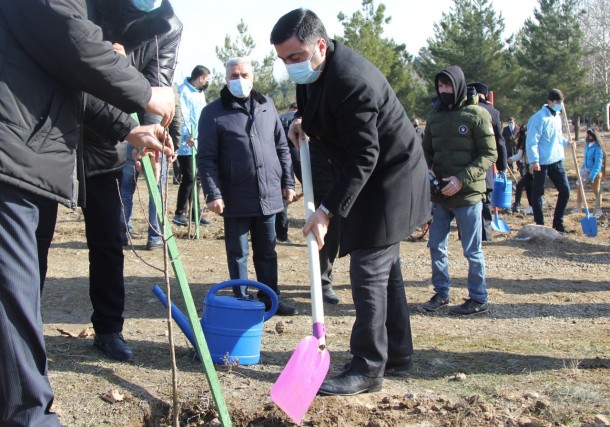 Gəncədə Xocalı qurbanlarının xatirəsinə 613 ağac əkilib- FOTOLAR