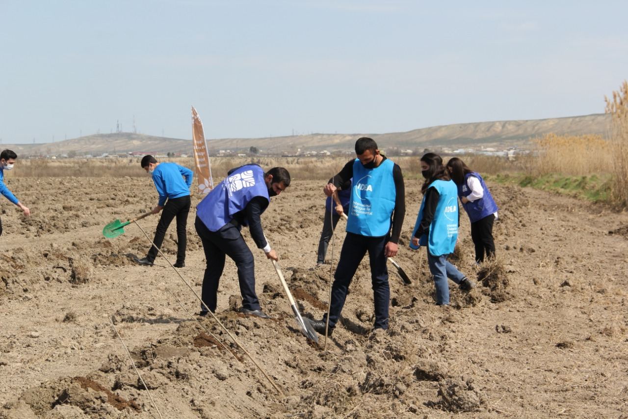 "Yaşıl Marafon” çərçivəsində Şirvanda 2500 ağac əkilib (FOTO) - Gallery Image