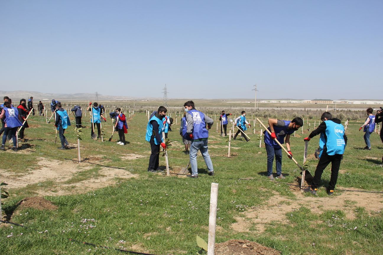 “Yaşıl Marafon” çərçivəsində ağacəkmə aksiyaları davam edir (FOTO) - Gallery Image