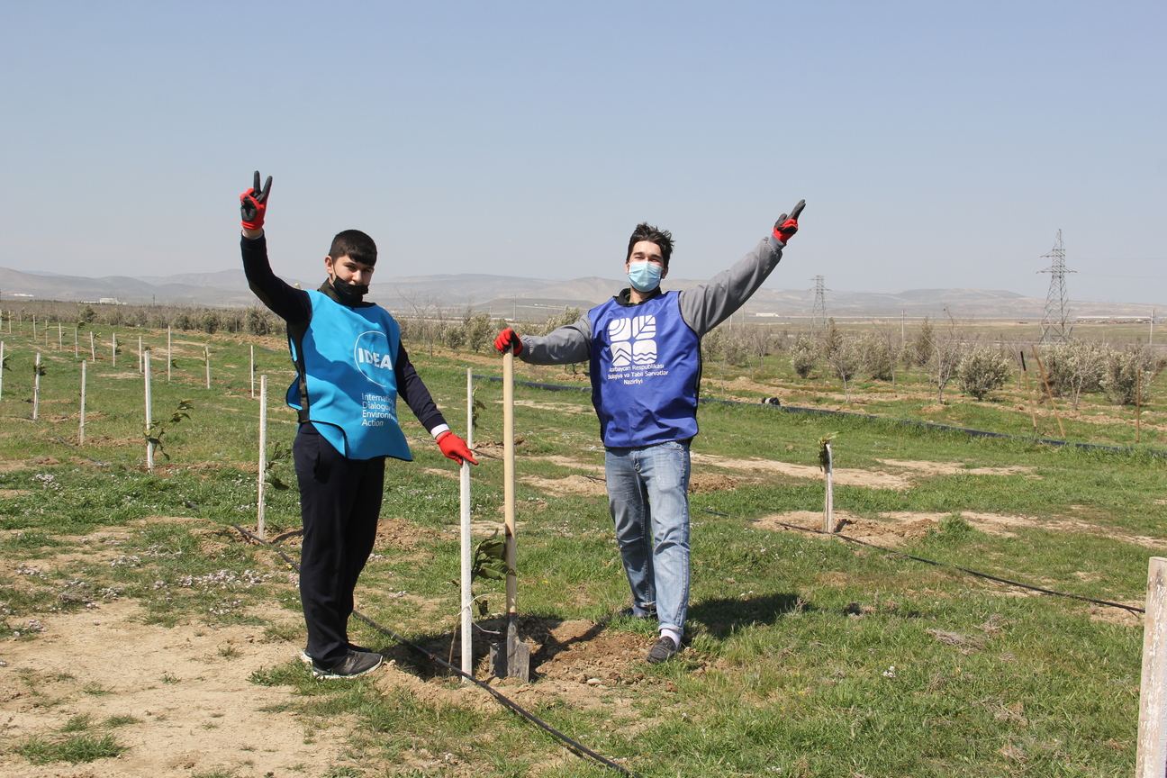 “Yaşıl Marafon” çərçivəsində ağacəkmə aksiyaları davam edir (FOTO) - Gallery Image