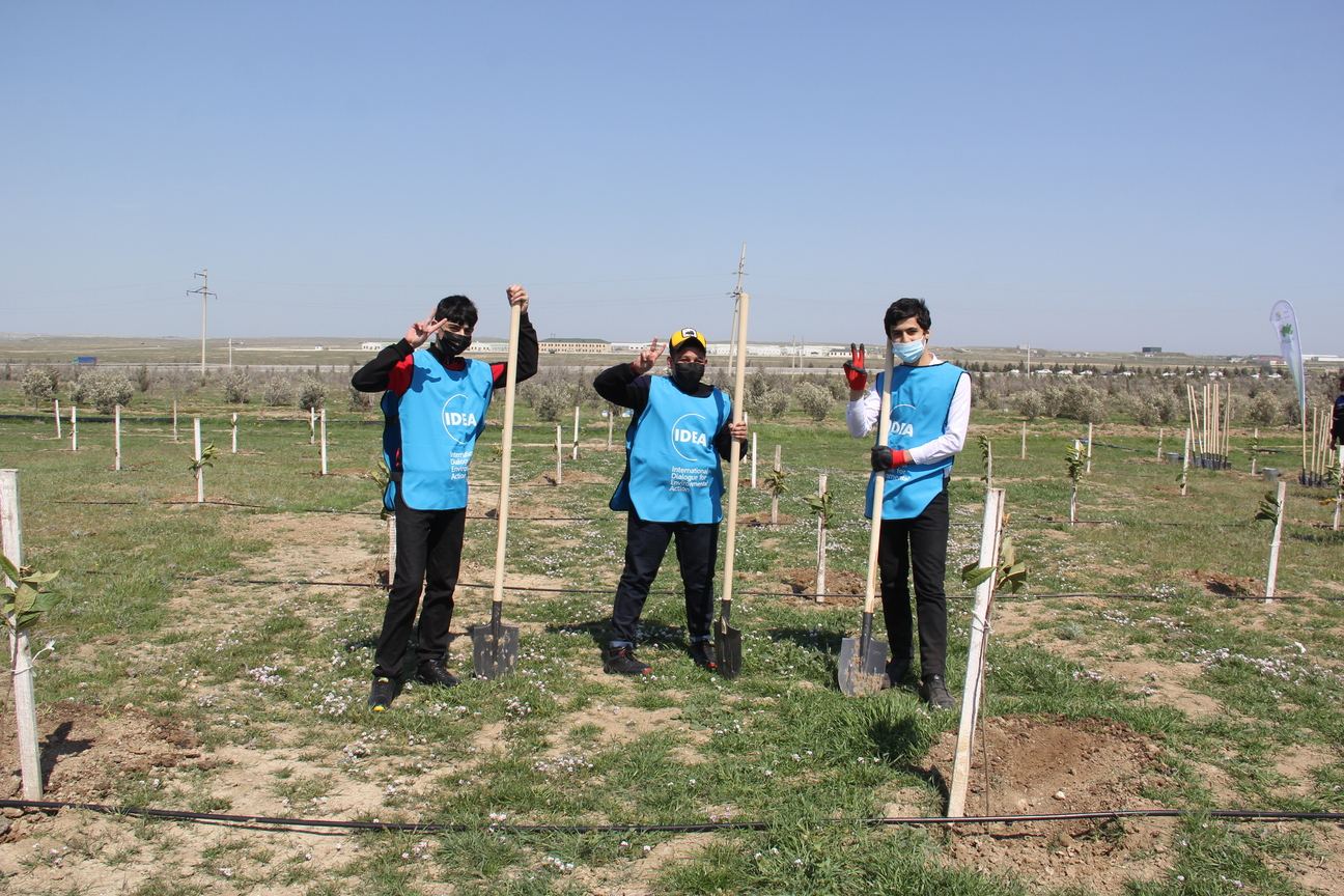 “Yaşıl Marafon” çərçivəsində ağacəkmə aksiyaları davam edir (FOTO) - Gallery Image