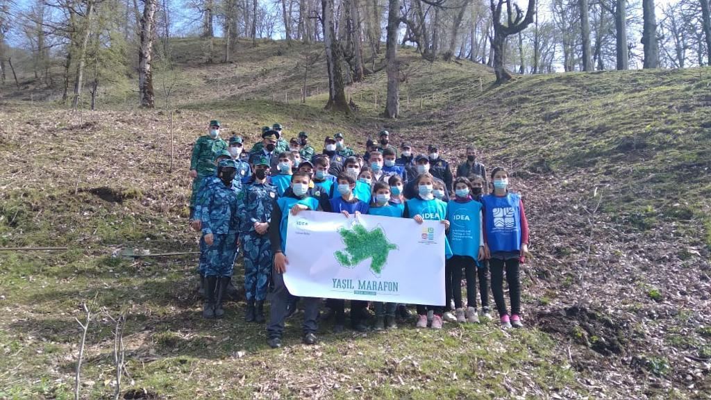 “Yaşıl Marafon” çərçivəsində ağacəkmə aksiyaları davam edir (FOTO) - Gallery Image
