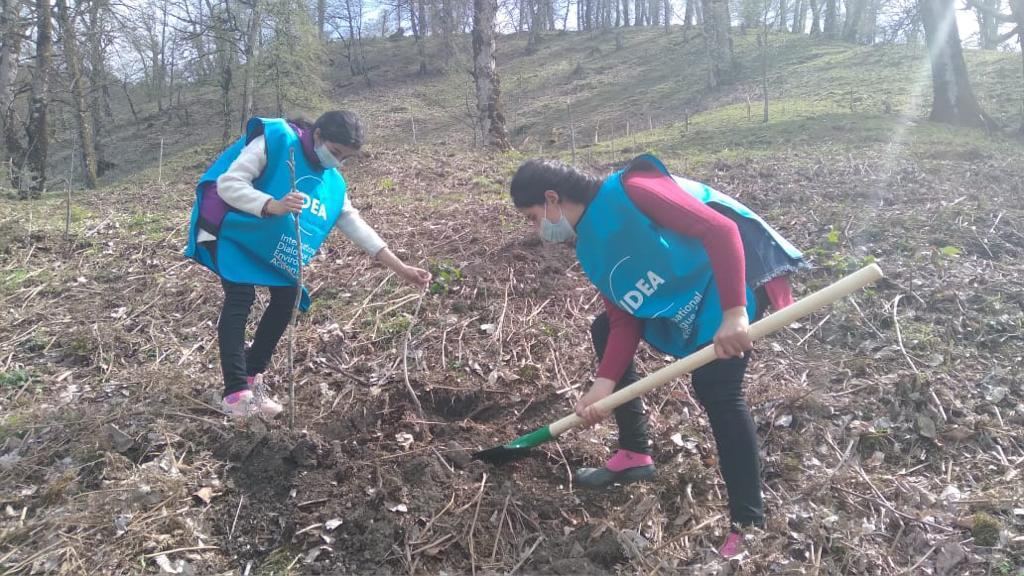 “Yaşıl Marafon” çərçivəsində ağacəkmə aksiyaları davam edir (FOTO) - Gallery Image