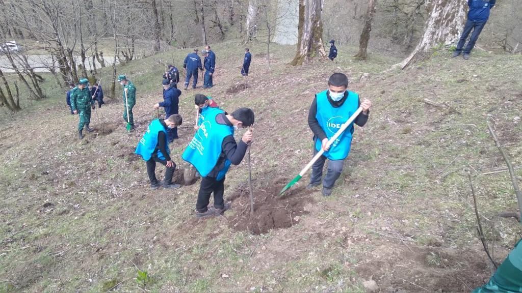 “Yaşıl Marafon” çərçivəsində ağacəkmə aksiyaları davam edir (FOTO) - Gallery Image