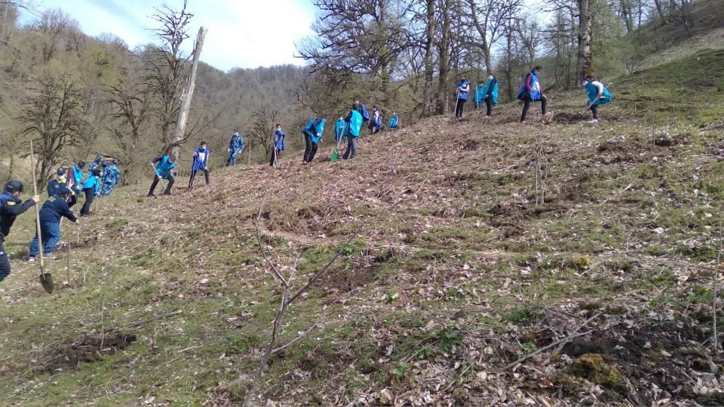 “Yaşıl Marafon” çərçivəsində ağacəkmə aksiyaları davam edir (FOTO) - Gallery Image