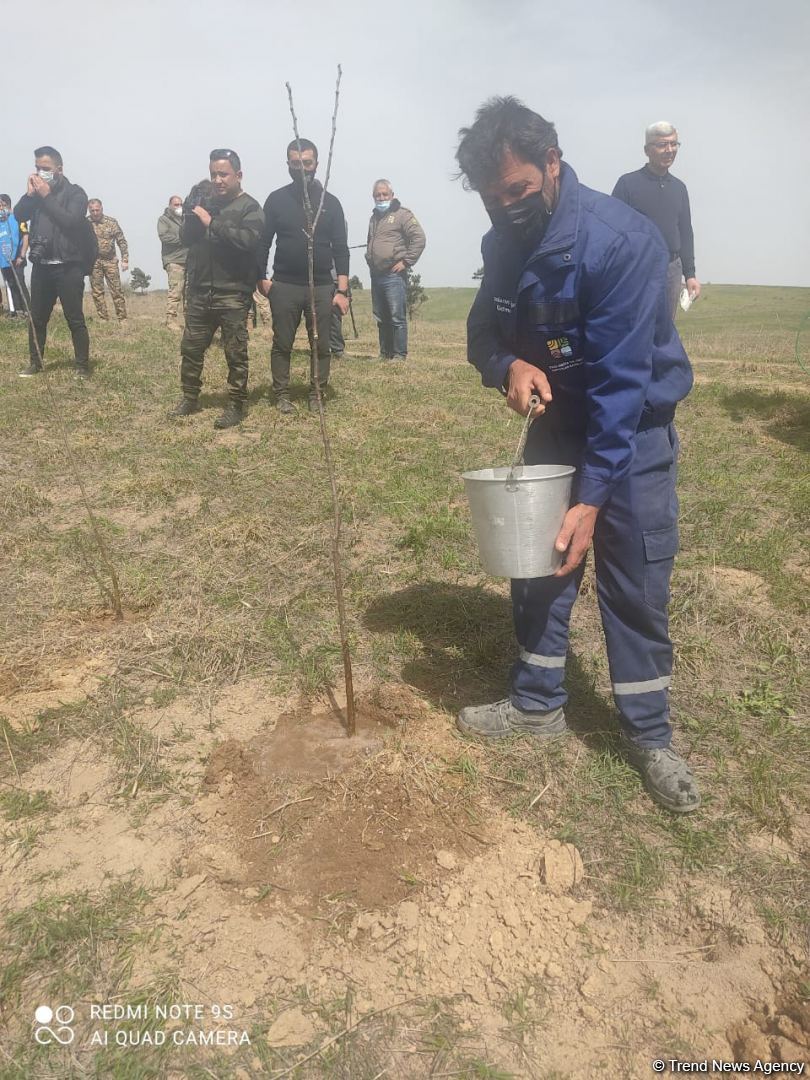 Zəngilanda ağac əkilən ərazilər vaxtilə sıx meşəlik olub - Firdovsi Əliyev (FOTO) - Gallery Image