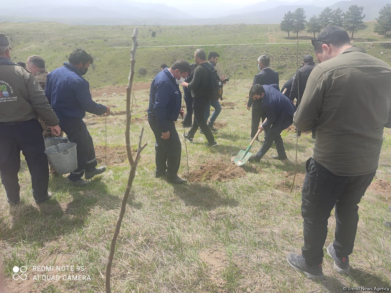 Zəngilanda ağac əkilən ərazilər vaxtilə sıx meşəlik olub - Firdovsi Əliyev (FOTO) - Gallery Image