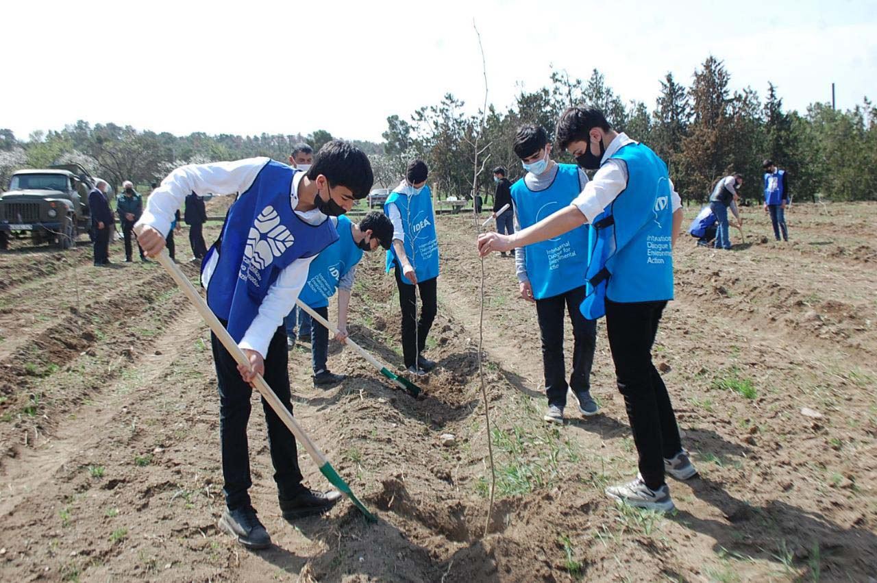 “Yaşıl Marafon” uğurla davam edir (FOTO) - Gallery Image
