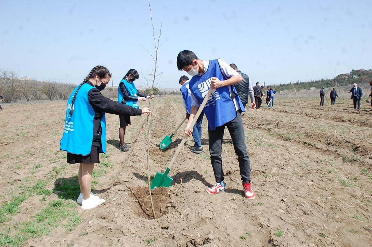 “Yaşıl Marafon” uğurla davam edir (FOTO) - Gallery Image
