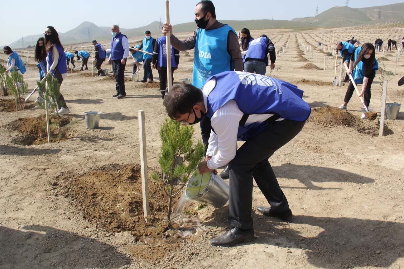 “Yaşıl Marafon” uğurla davam edir (FOTO) - Gallery Image