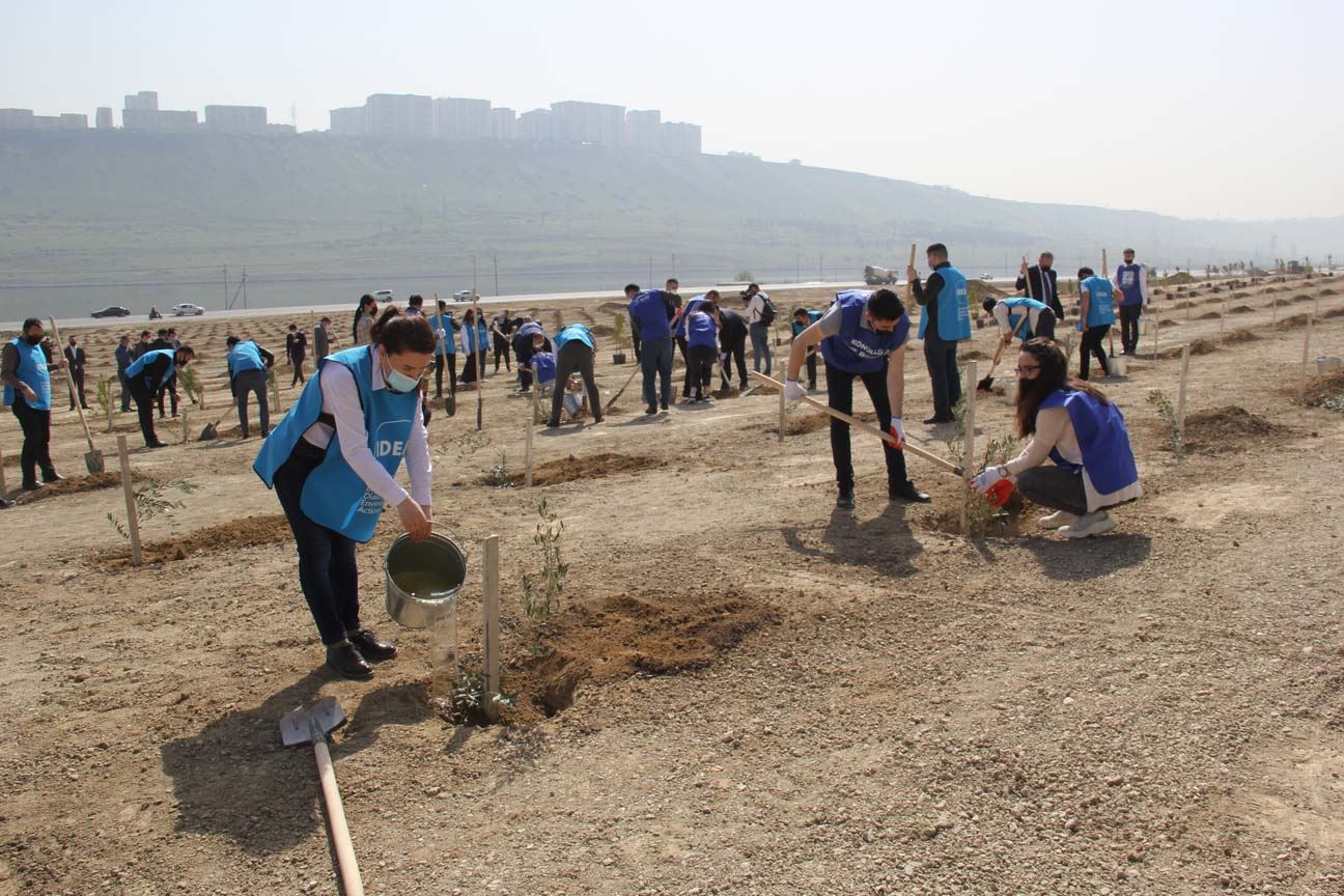 “Yaşıl Marafon” uğurla davam edir (FOTO) - Gallery Image