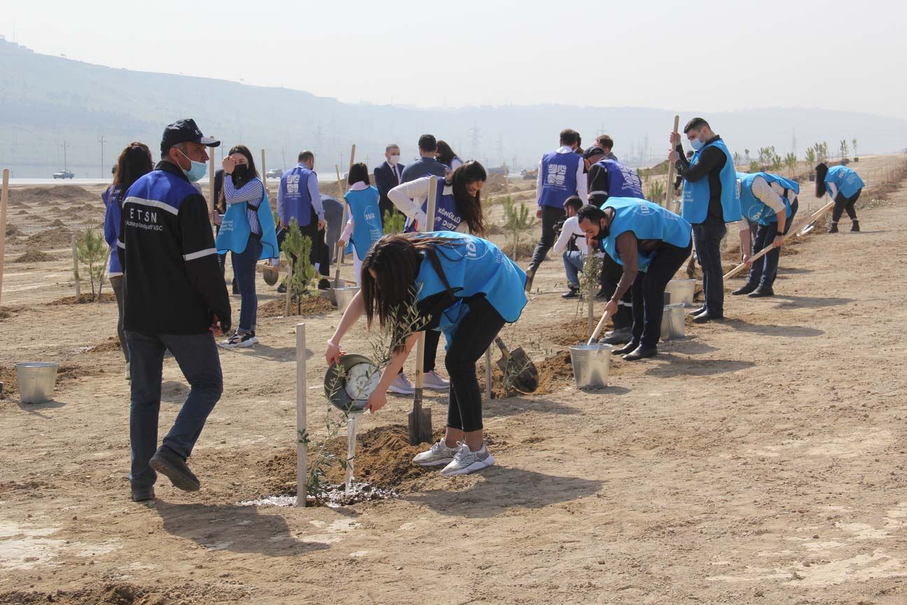 “Yaşıl Marafon” uğurla davam edir (FOTO) - Gallery Image